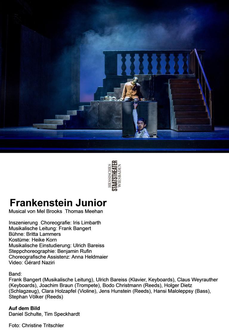 Daniel Schulte (Monster), Tim Speckhardt (Frederick Fronkensteen) © Christine Tritschler