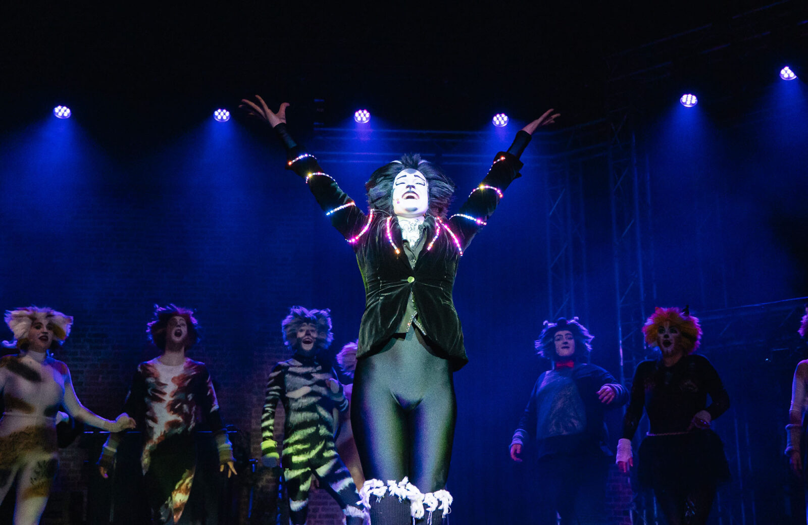 Bernadete Hoffmann (Mr. Mistoffelees), Ensemble © Svenja Drewitz