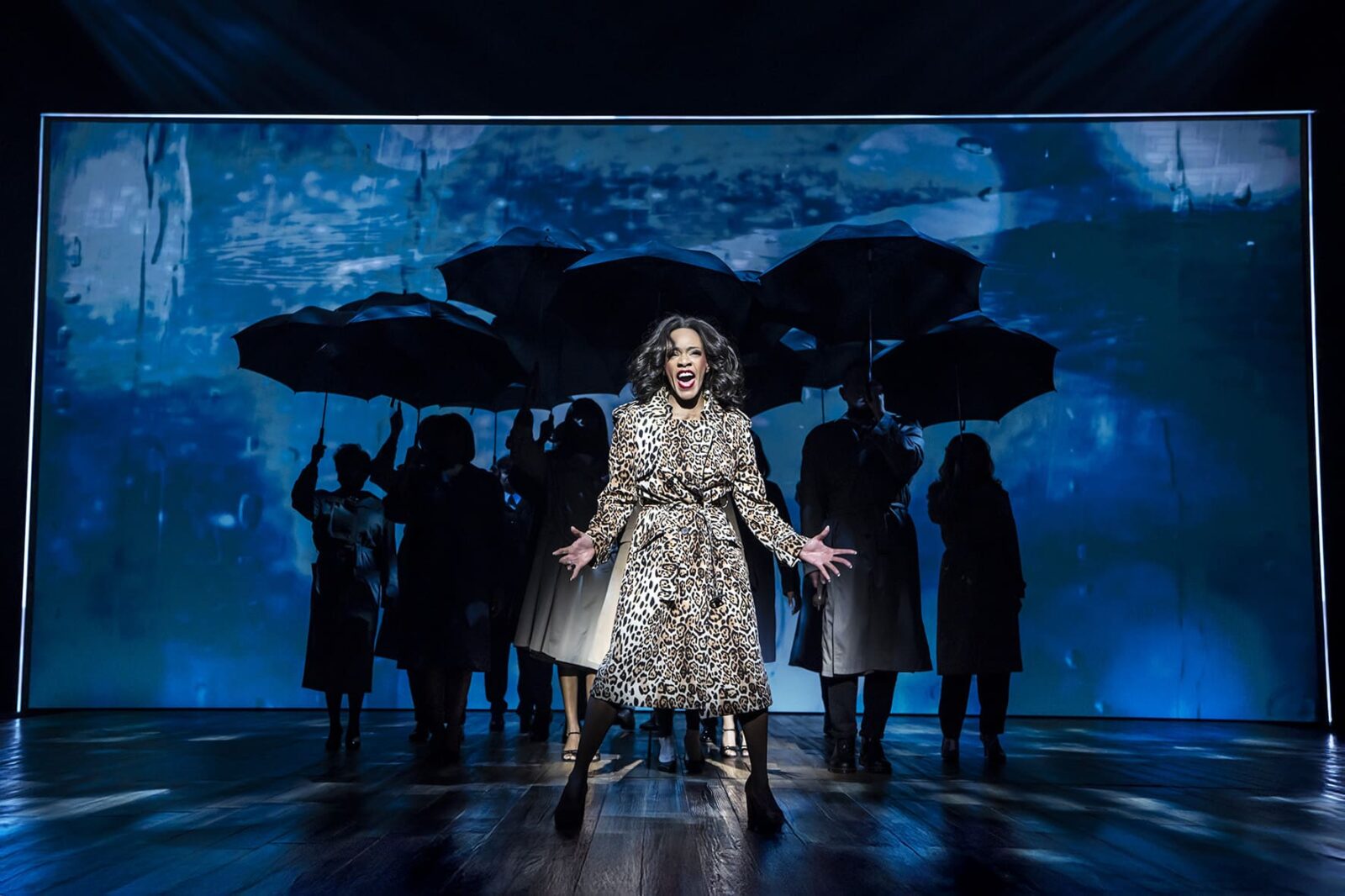 Tina - The Musical &copy; Johan Persson