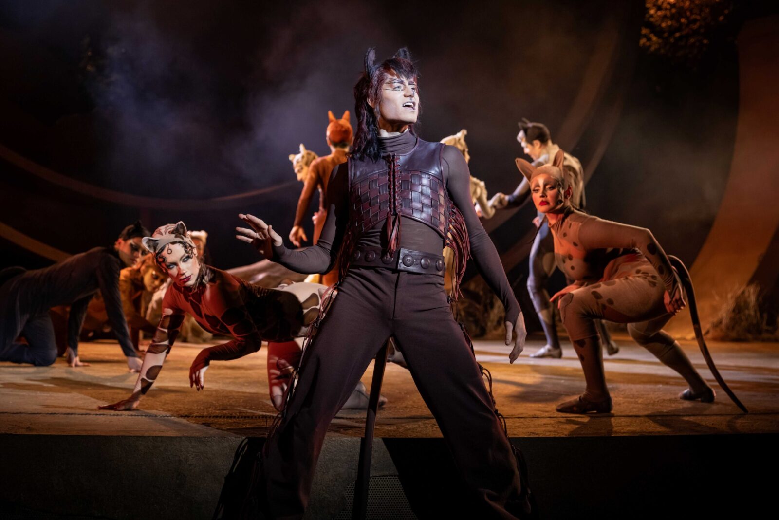 Jaydon Vijn (Rum Tum Tugger), Ensemble © Mark Senior